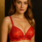 Bridal Embroidered Bra – Zeneefa